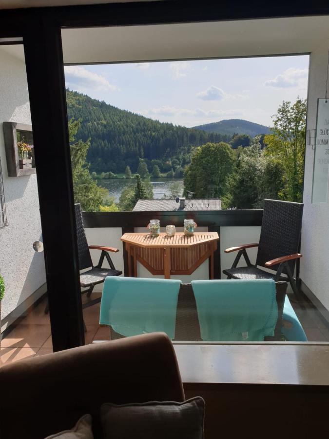 Ferienwohnung Zeitlos, Gigantischer Seeblick, Wlan, Gerne Mit Hund Winterberg Exteriör bild